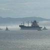 Remorquage LIVORNO EXPRESS par Abeille HORIZON