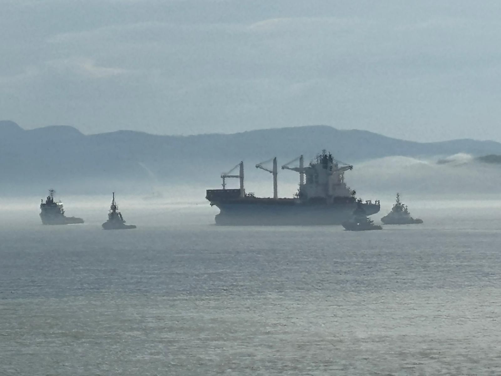 Remorquage LIVORNO EXPRESS par Abeille HORIZON
