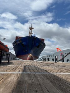 Remorquage LIVORNO EXPRESS par Abeille HORIZON